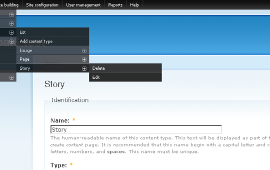 Content form preview